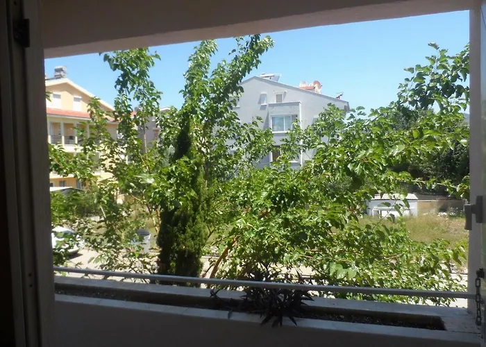 Kemalbutik マルマリス